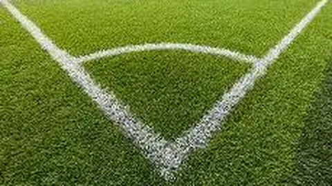 DG视讯官网 资讯 112937 nzl