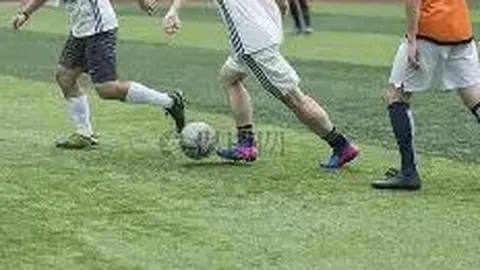 DG视讯官网 产品 113428 0mx