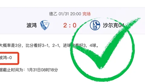 土杯四胜三不败费内巴切专家解析大都会挑战